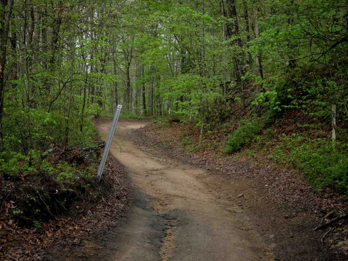 IR 50 trail photo