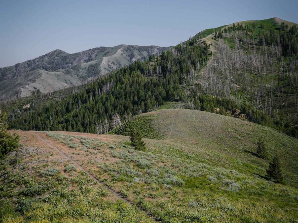 Panther Gulch  - Imperial Connect photo 5