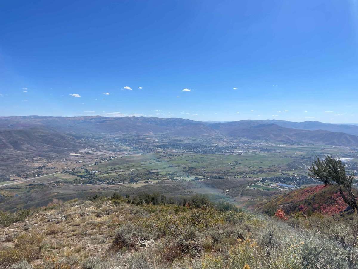 Polly Ridge photo 4
