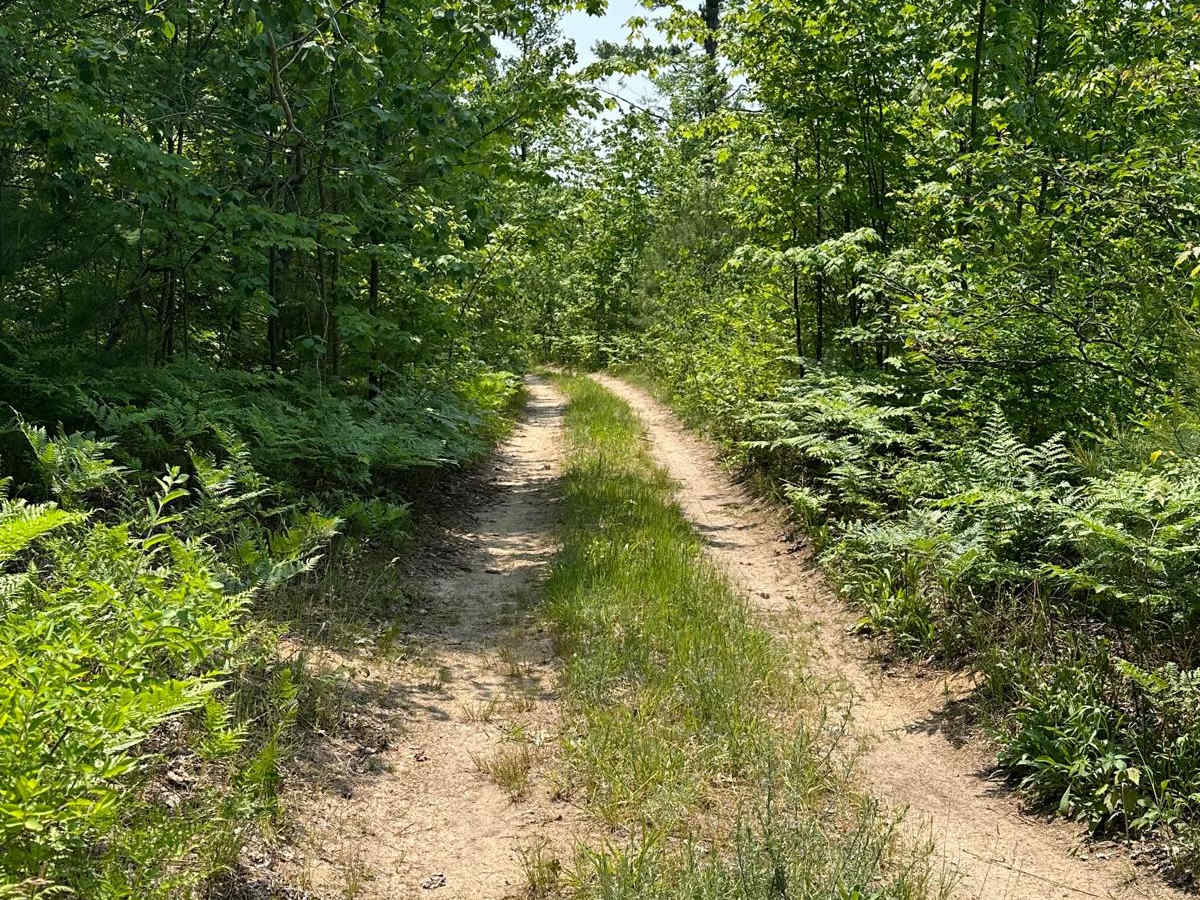 Fruitville Extention trail photo