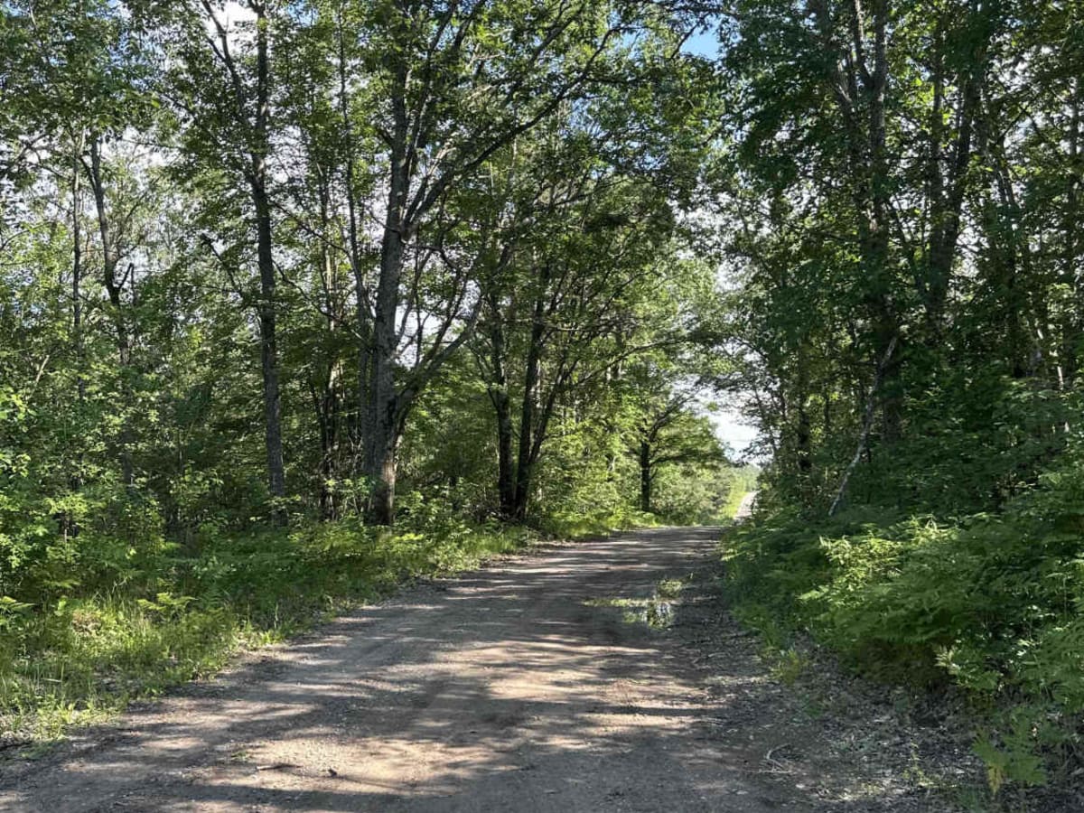 Elk Road trail photo