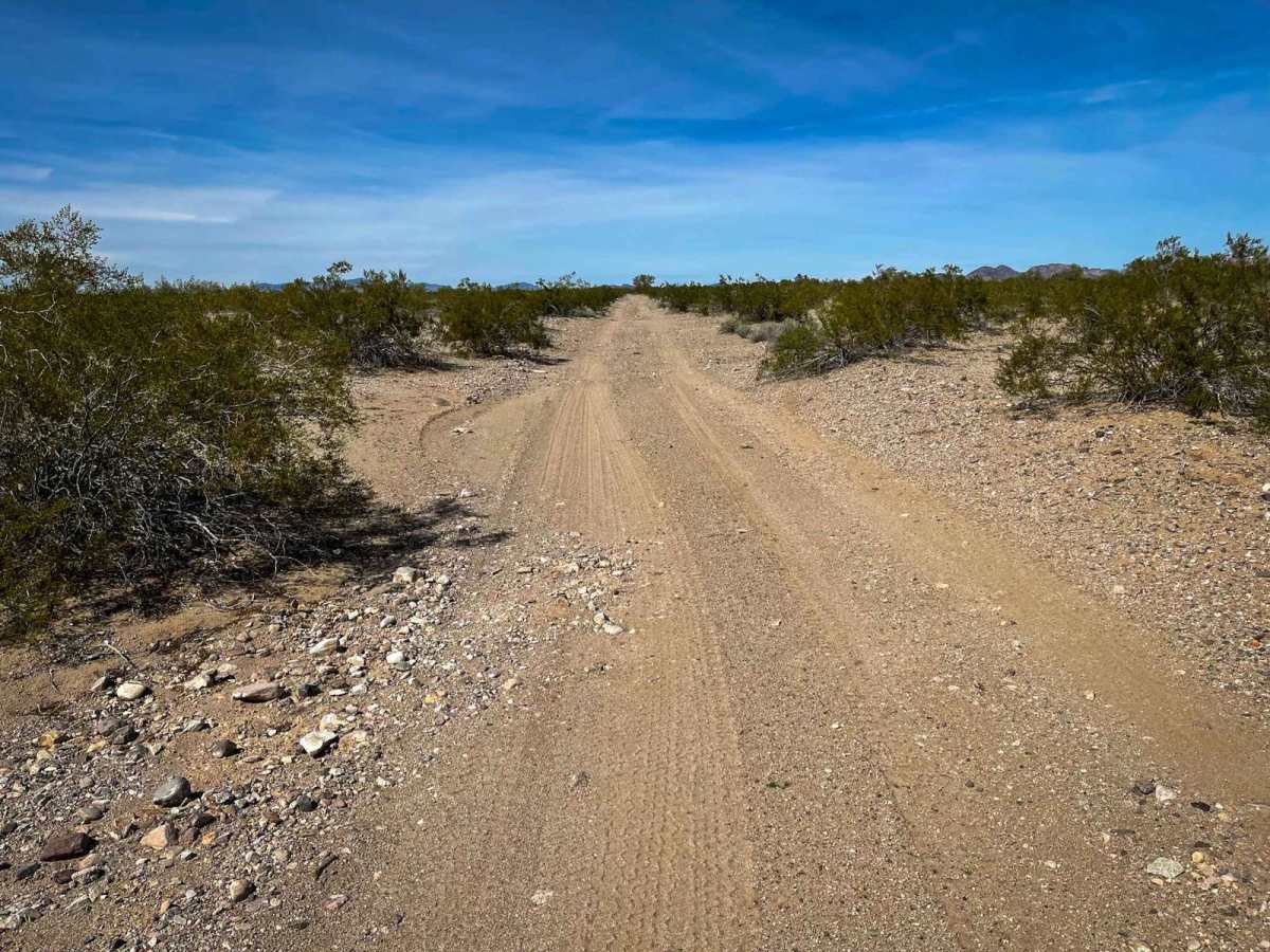 Turtleback Track trail photo