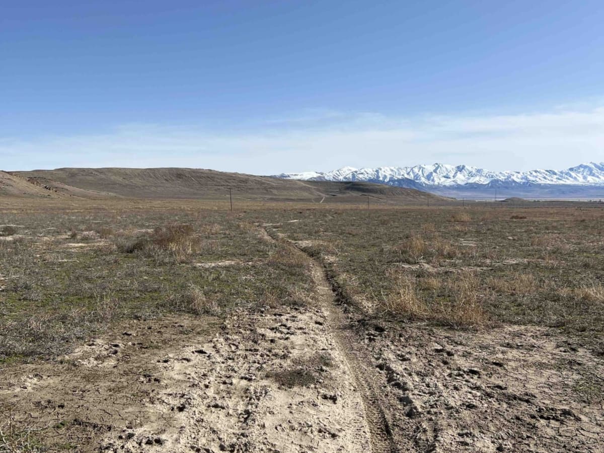 Cow Connector trail photo