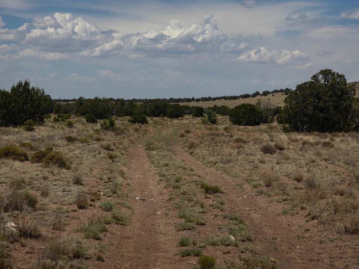 Antelope Run photo 4