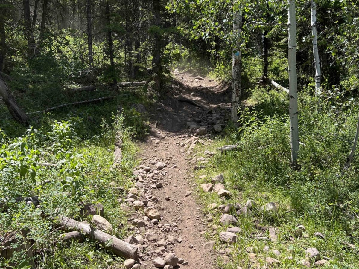 Little South Fork Trail photo 3