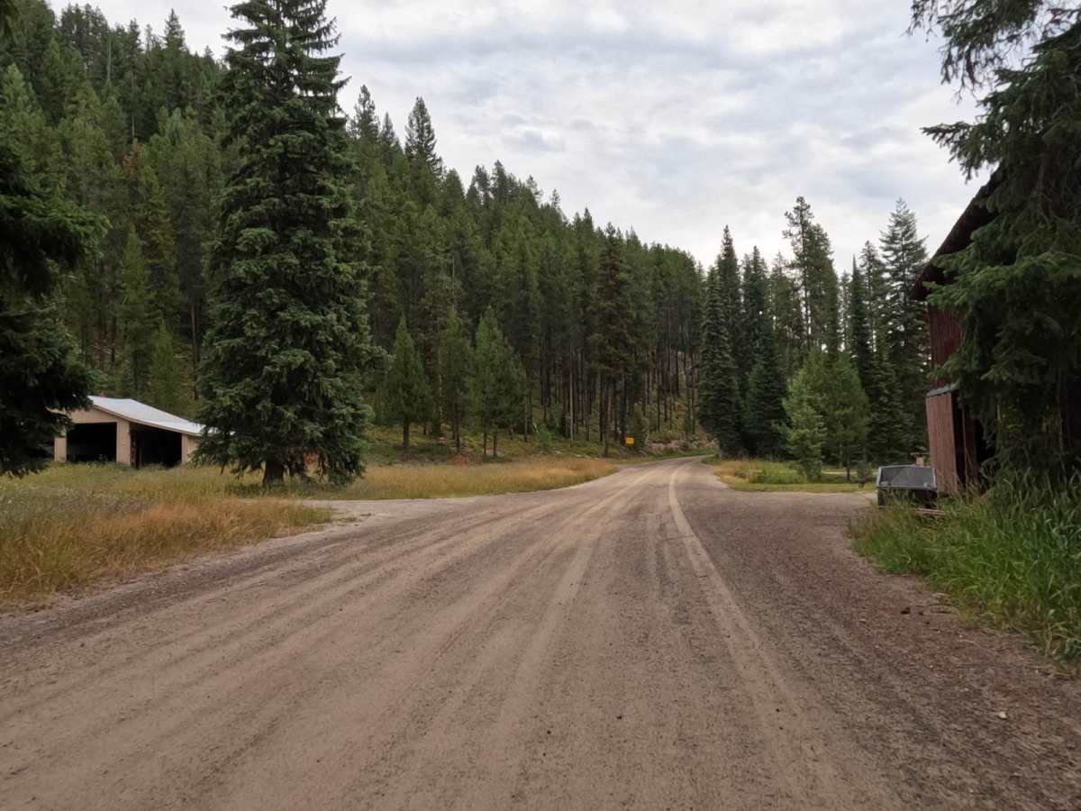 $50,000 Silver Dollar Inn - FSR 288 photo 5