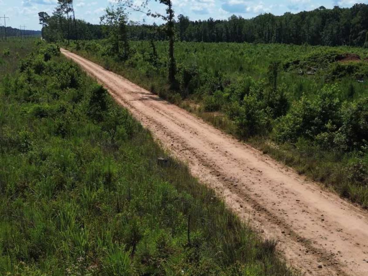 County Line Road photo 3