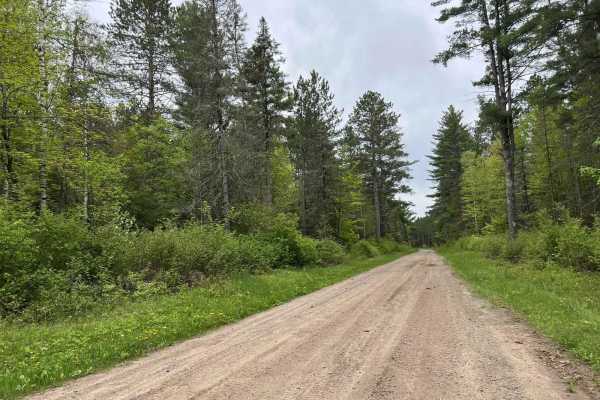 McArthur Pine FR 2167