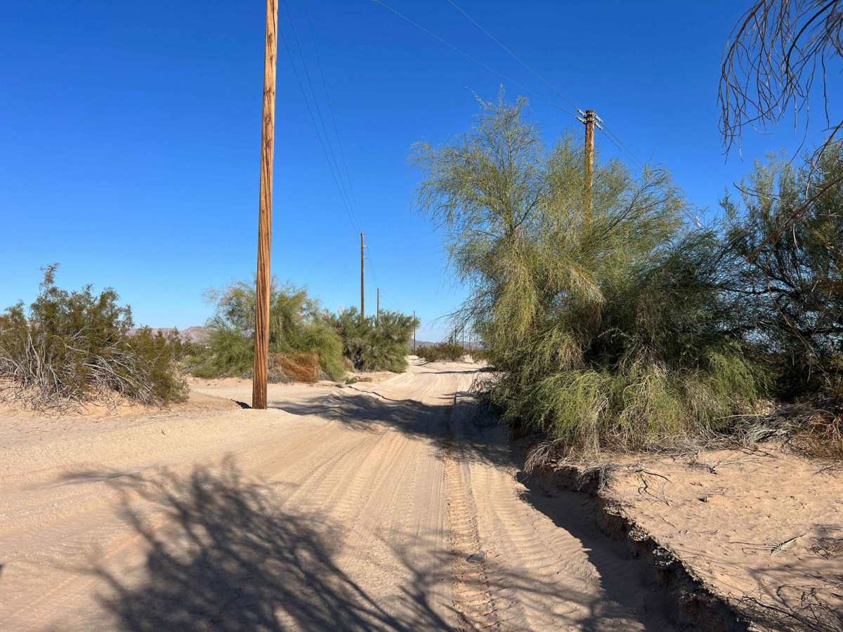 Dunes Vista photo 5