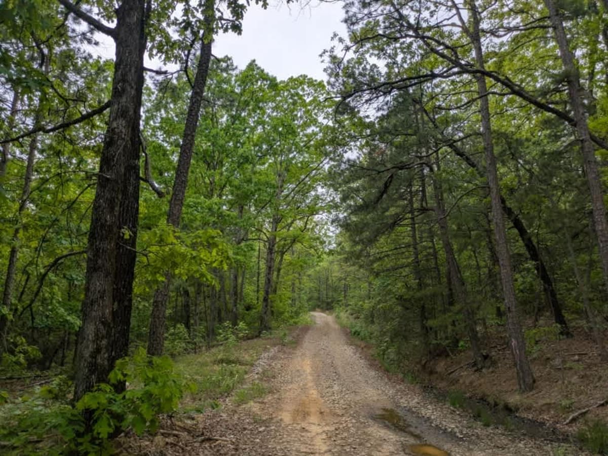 Barber Ridge Road photo 4
