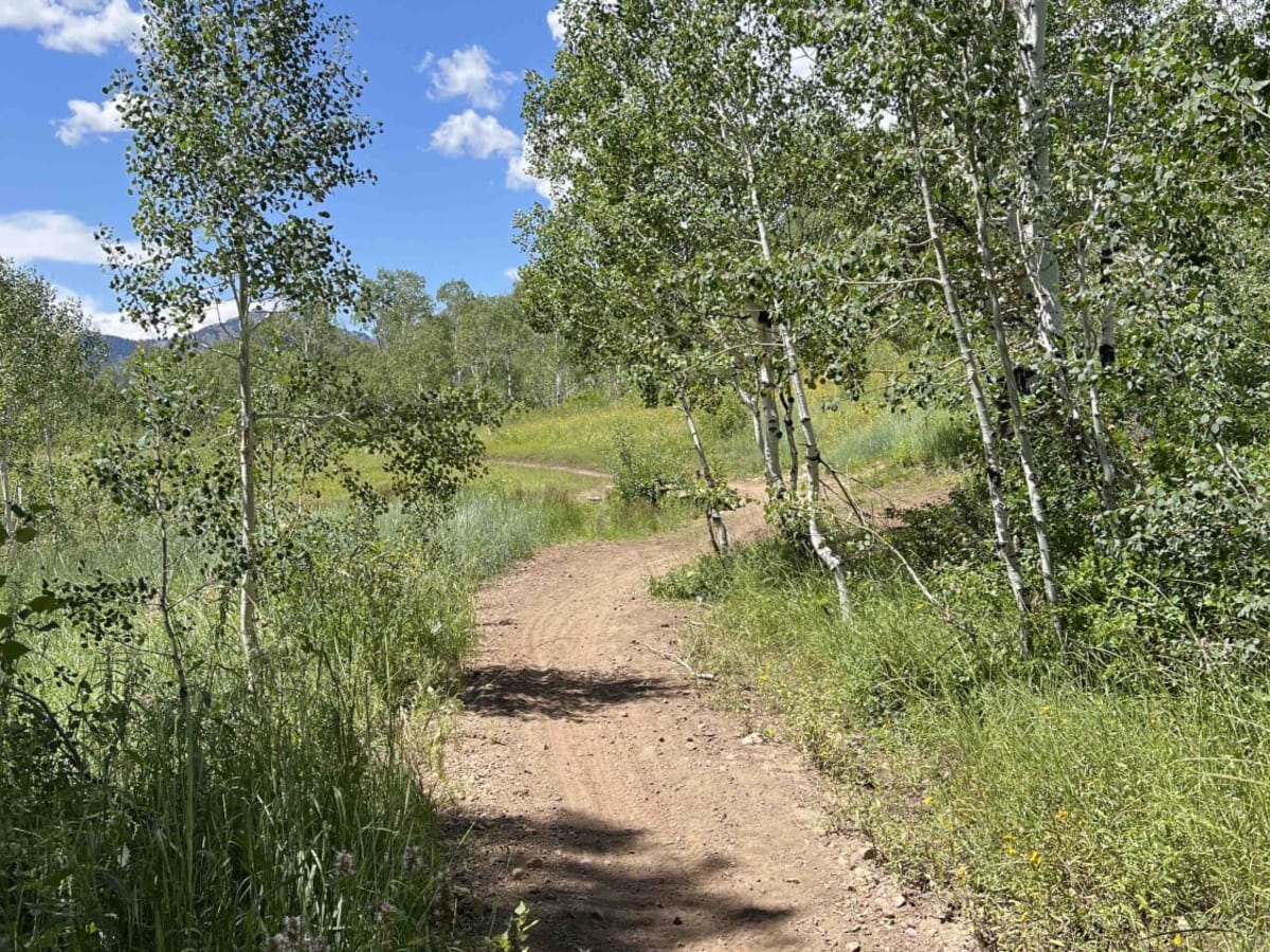Mill Canyon (2040) photo 4