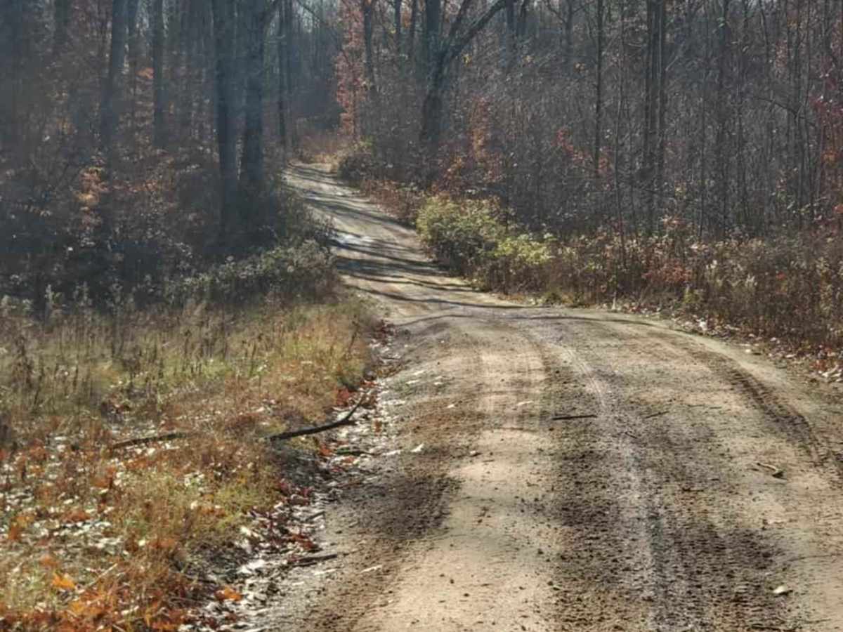 Trail 5321 photo 3