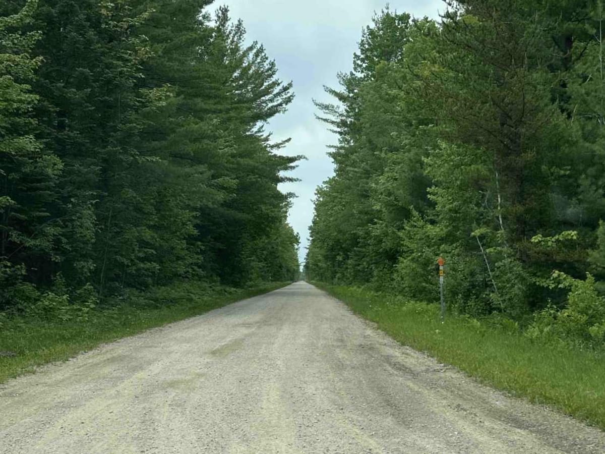 FS 3343 photo 2