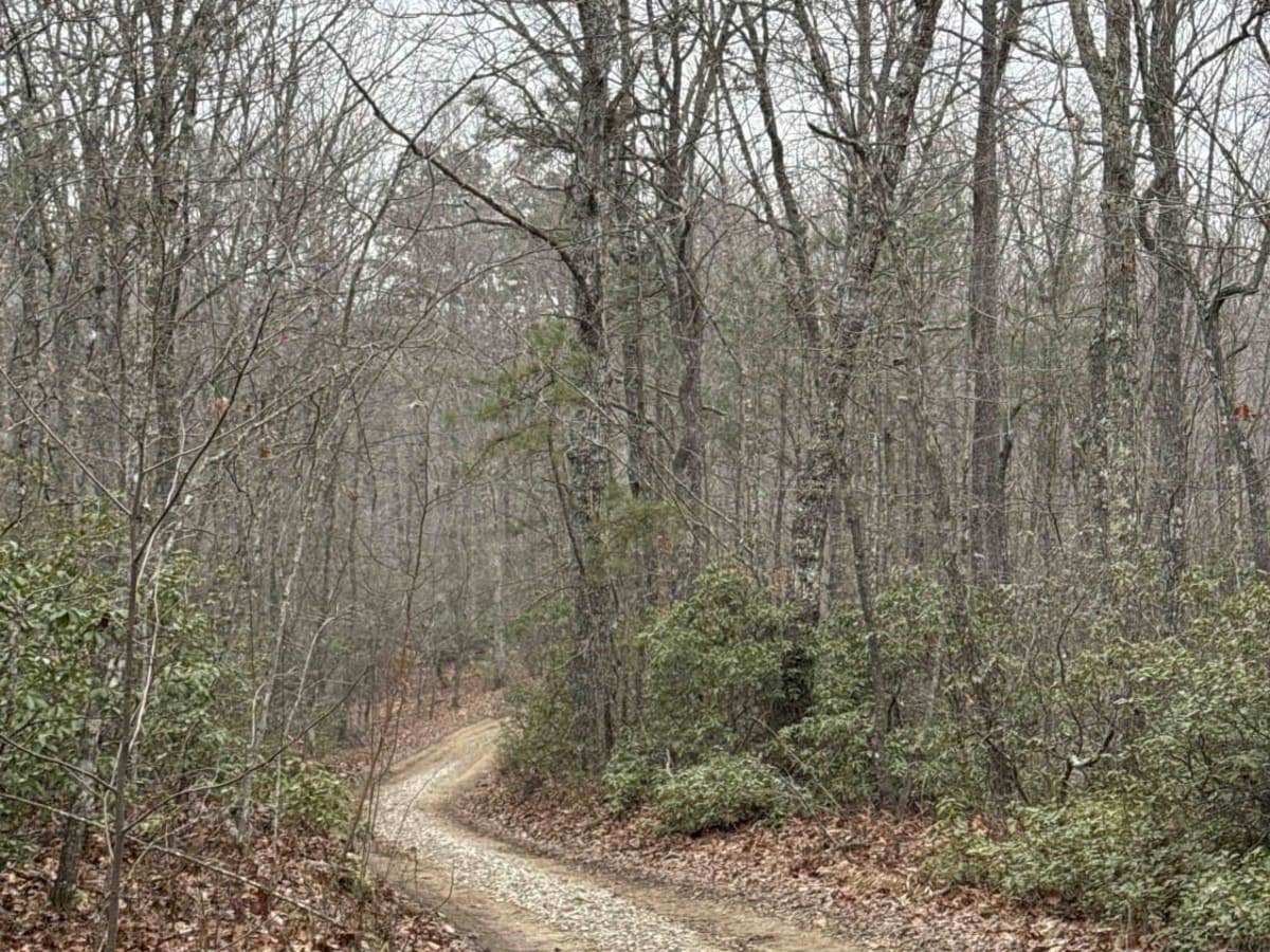 Tussey Hill Road photo 2