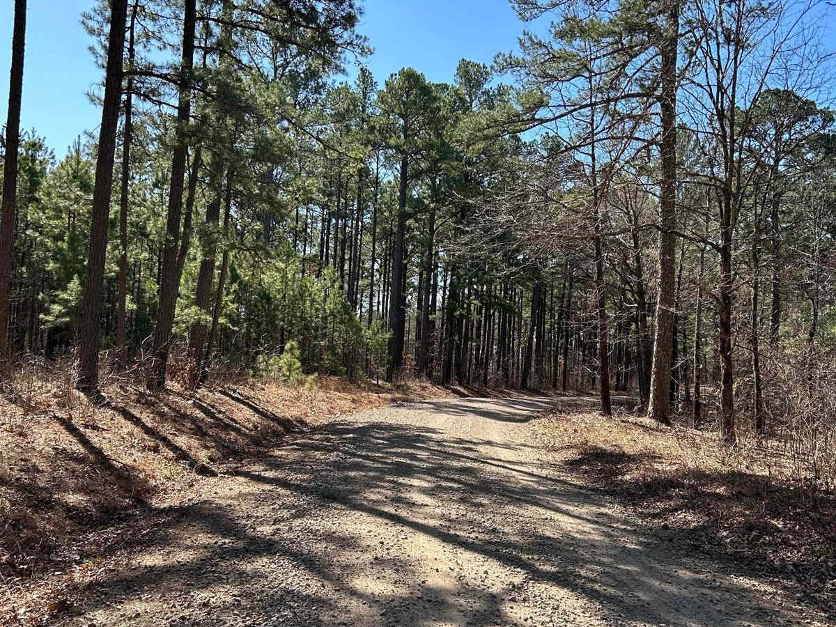 Woods Mountain Road photo 3