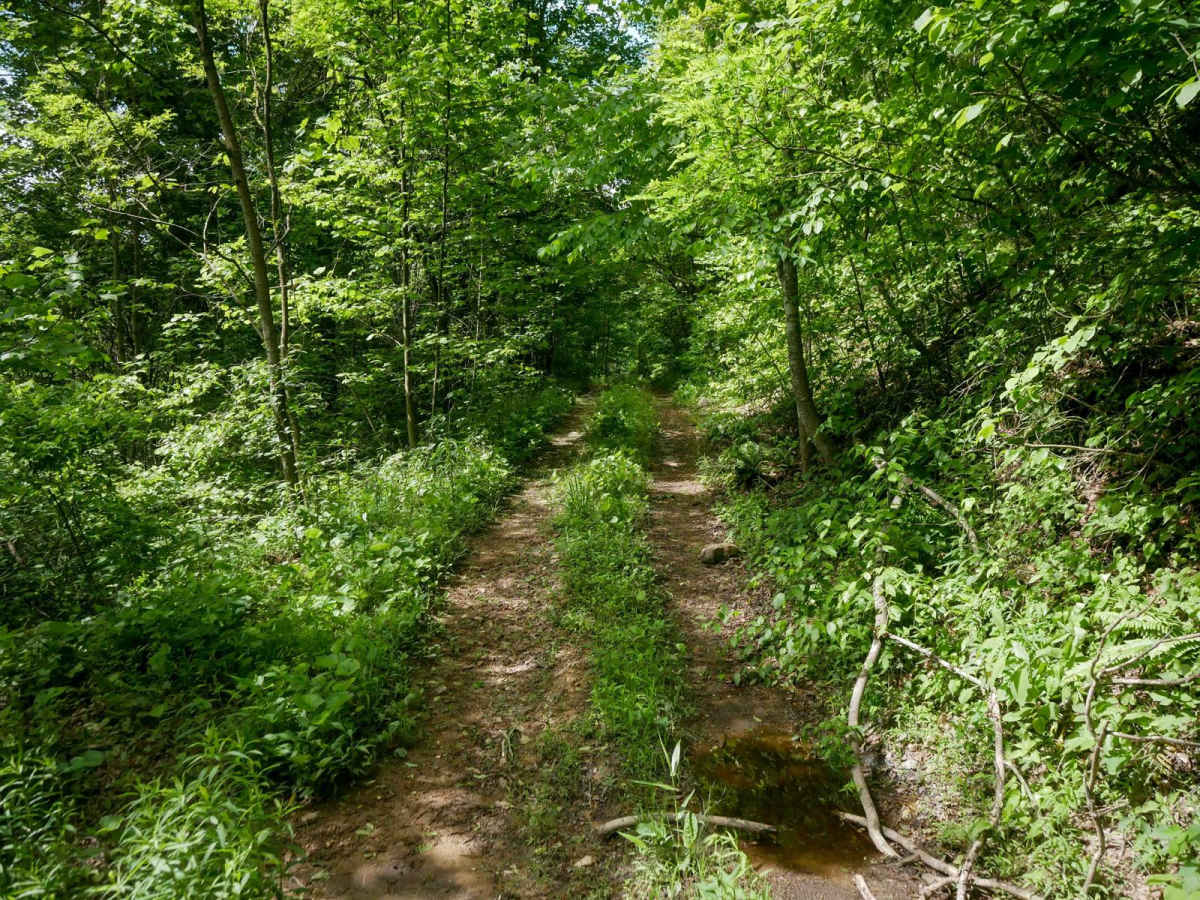 RV33 photo 6