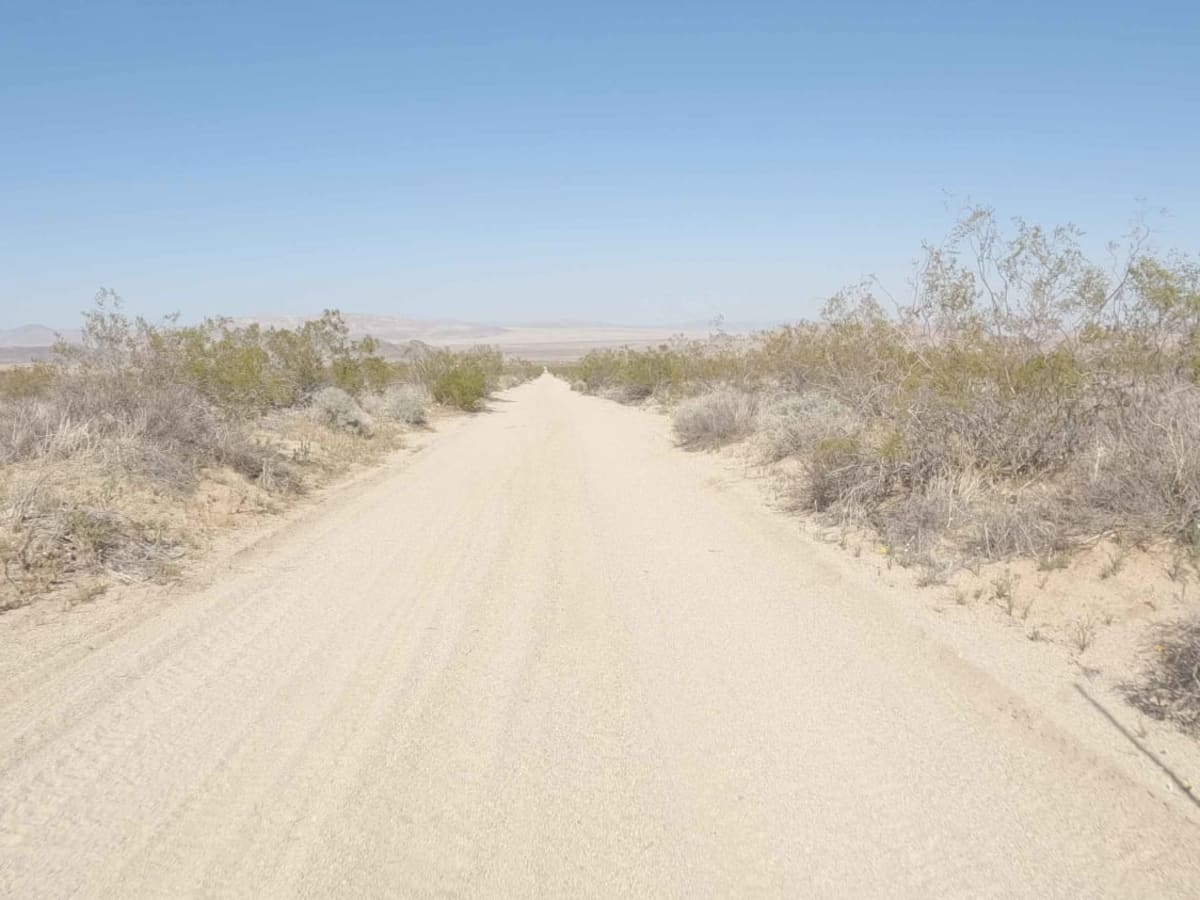 BLM C3524 photo 5