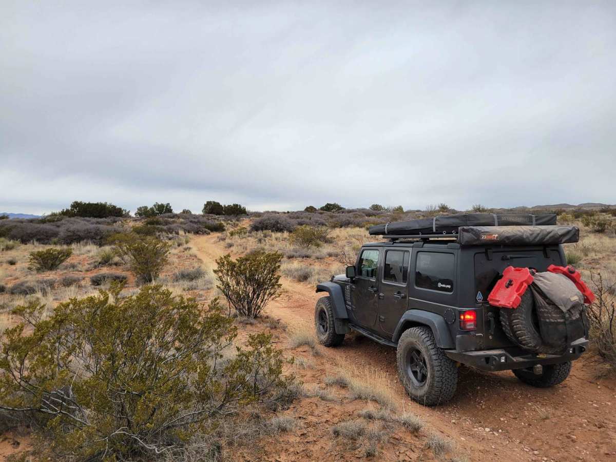 Bosequecito Desert Crossing photo 2