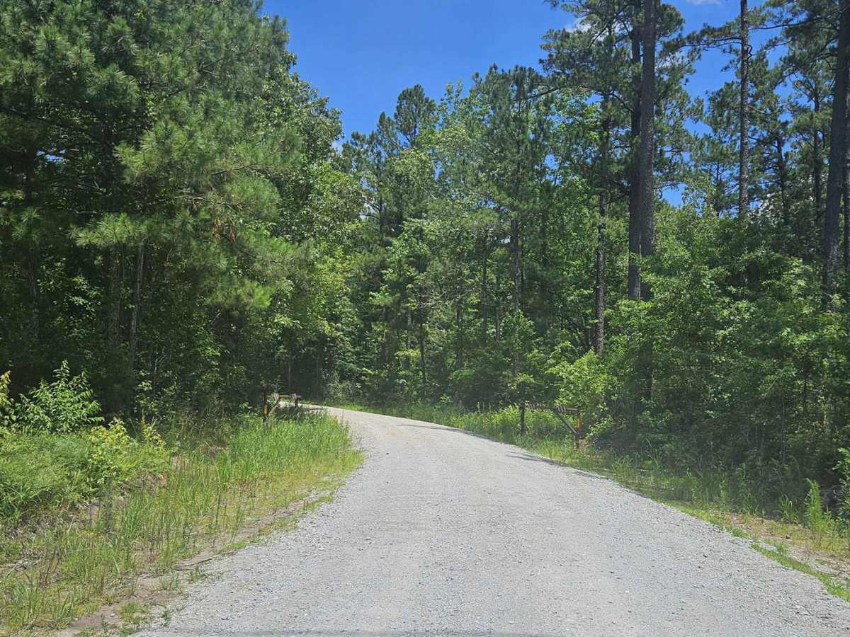 Southwest Croatan National Forest Loop photo 2
