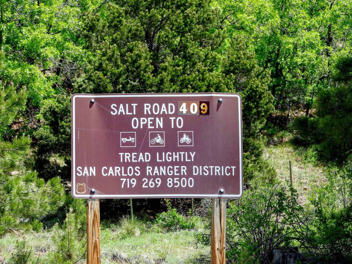 Salt Creek Forest Road 409 photo 2