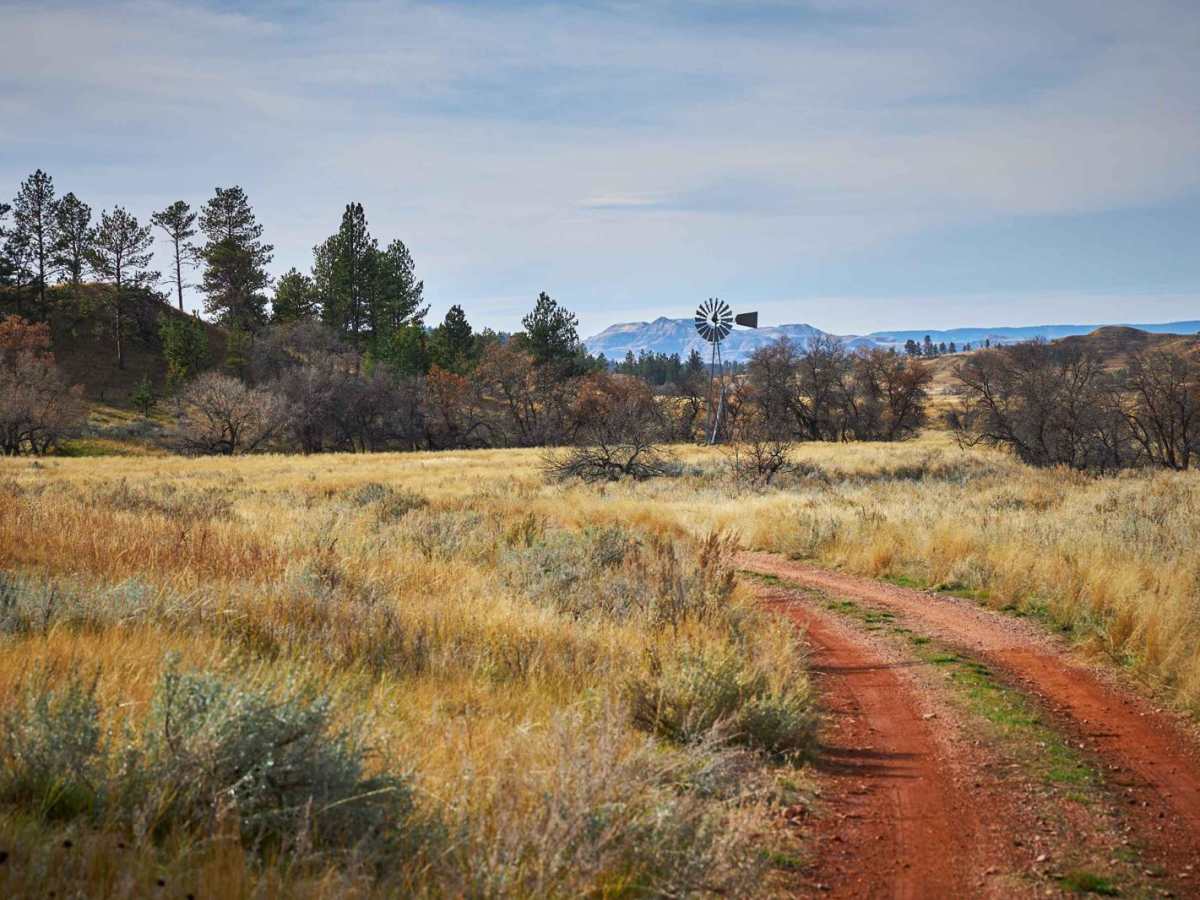 Yager Butte Trail photo 5