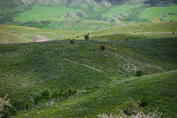 Trail Hollow (Malad)