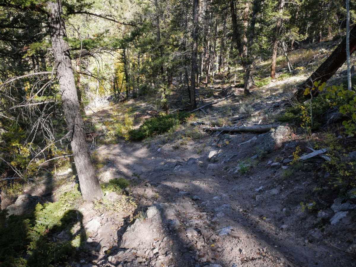 North Gulch photo 4
