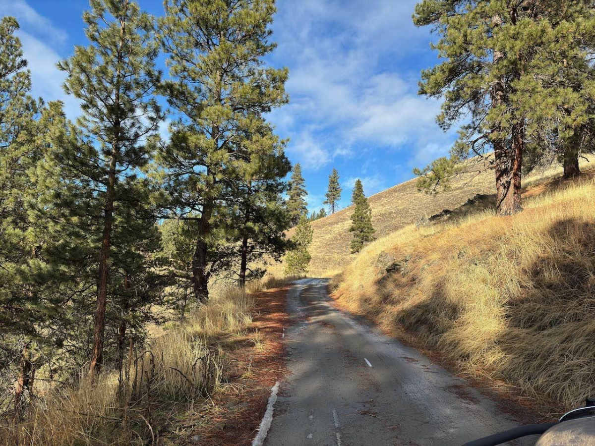 Brennan Creek photo 3