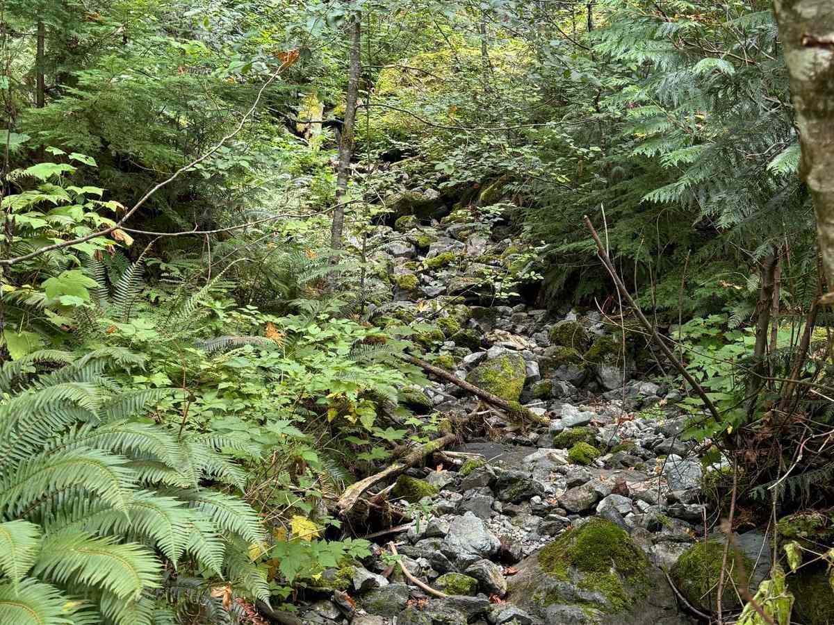 Clear Creek photo 6