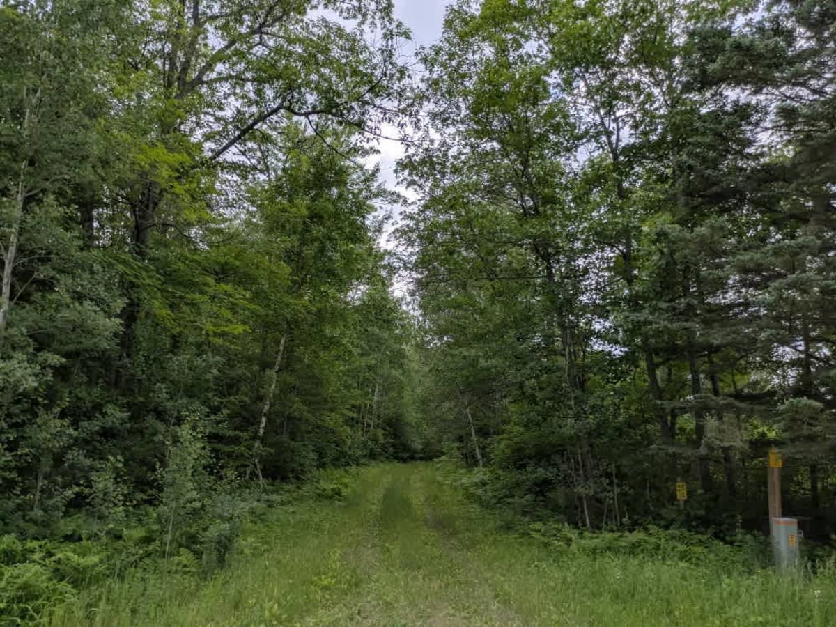 Bachelor Road Northwest photo 5