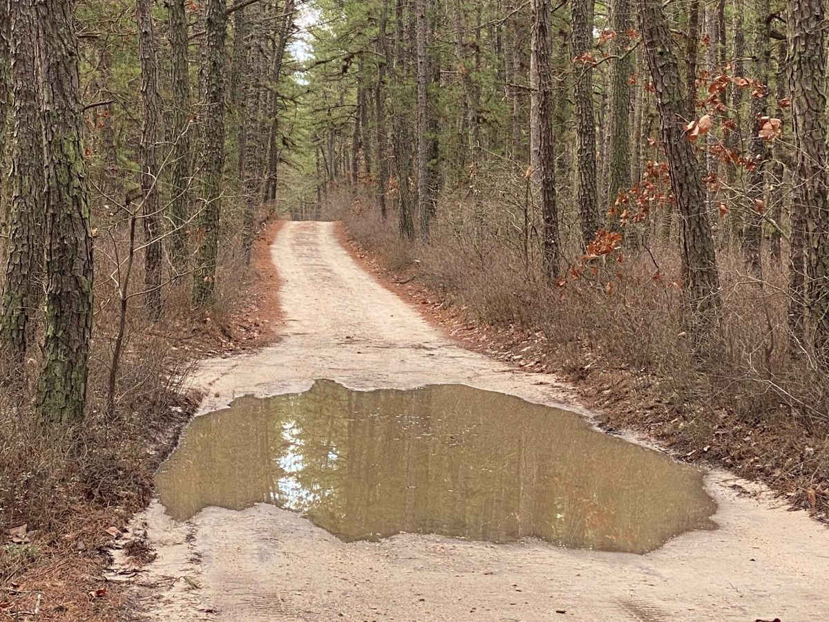 Tuckerton Road Trail photo 3