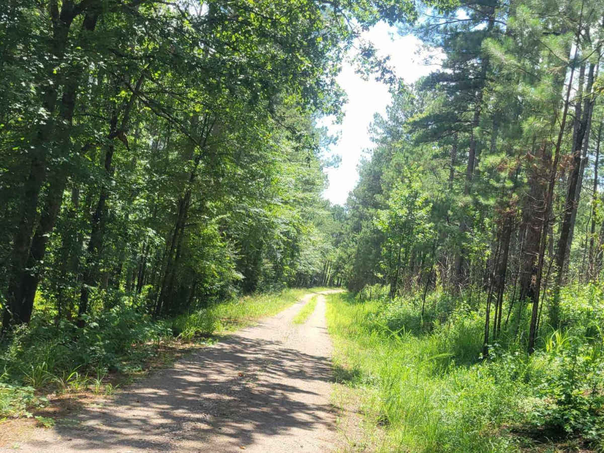 Horn Creek (638) via Prescott Road photo 3