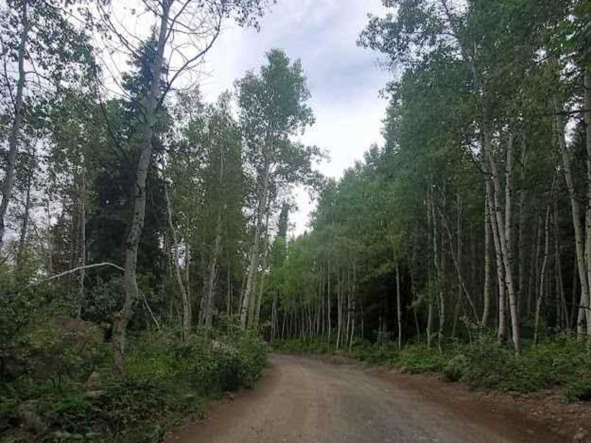 Silver Lake Road photo 5