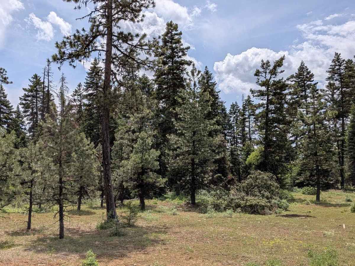Wellamockin Road North NF46 photo 2