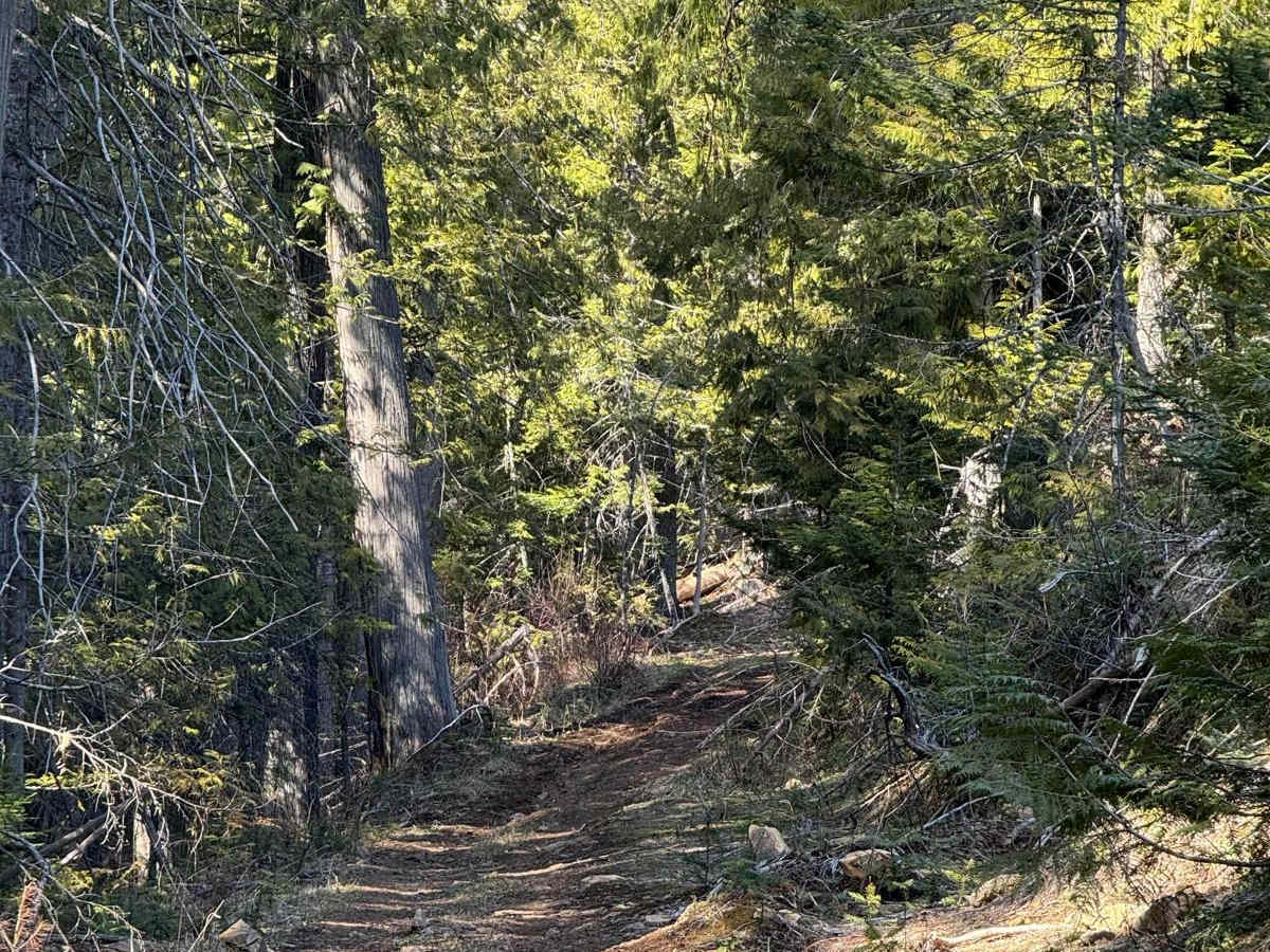 Korth Trail photo 3