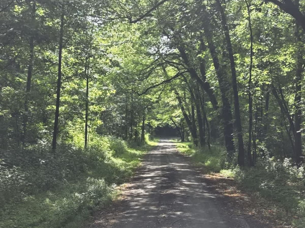 Gravley Hill Road - Macon County Tour photo 2