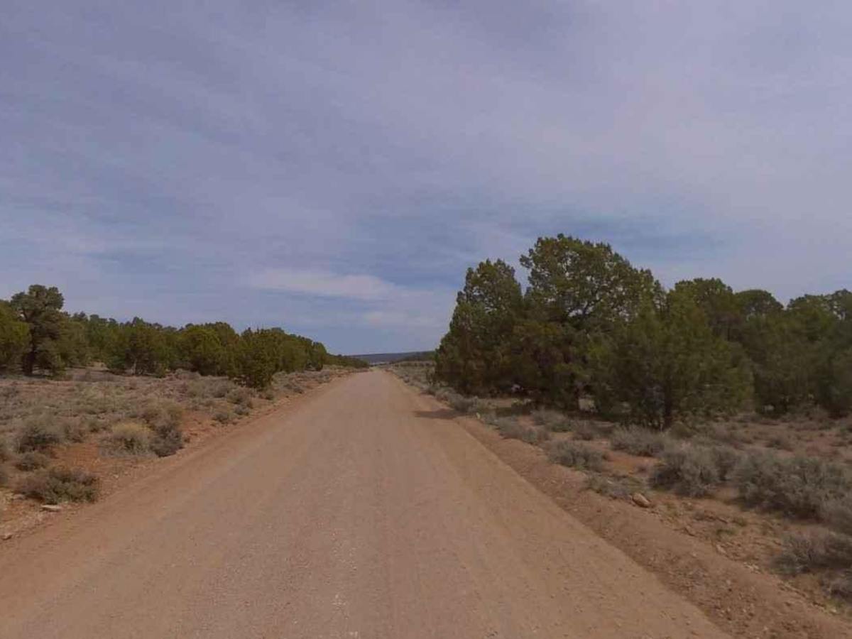 Acoma-FR30017 trail photo