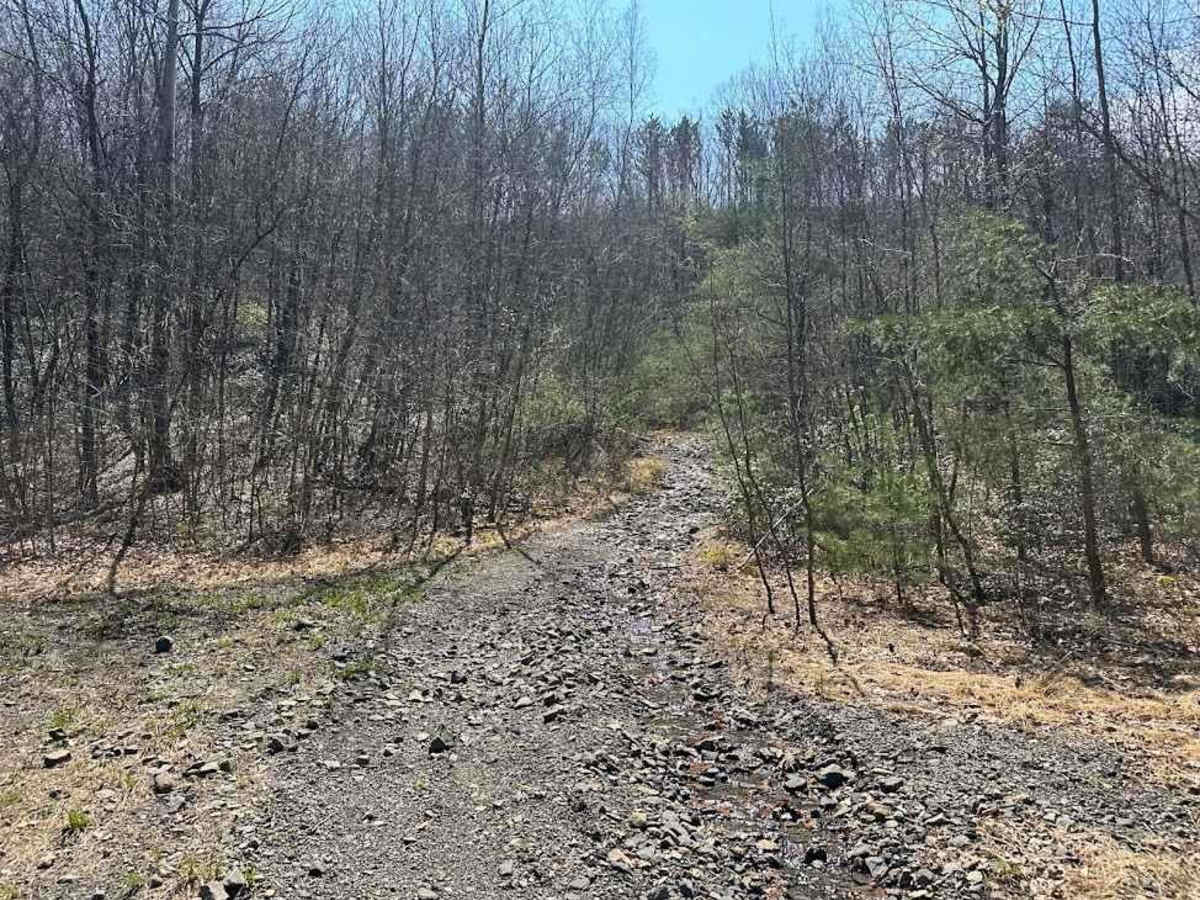Ashland 122 trail photo