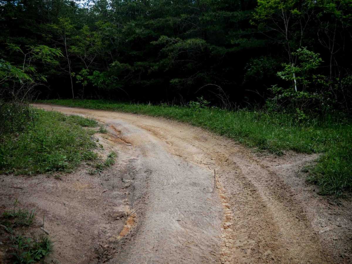Trail 4 photo 4