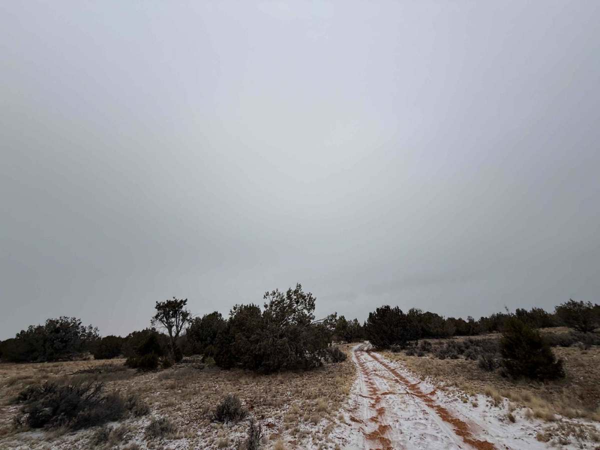 BLM M4187 photo 3