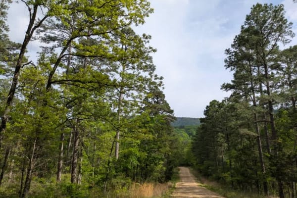 Green Bench Road
