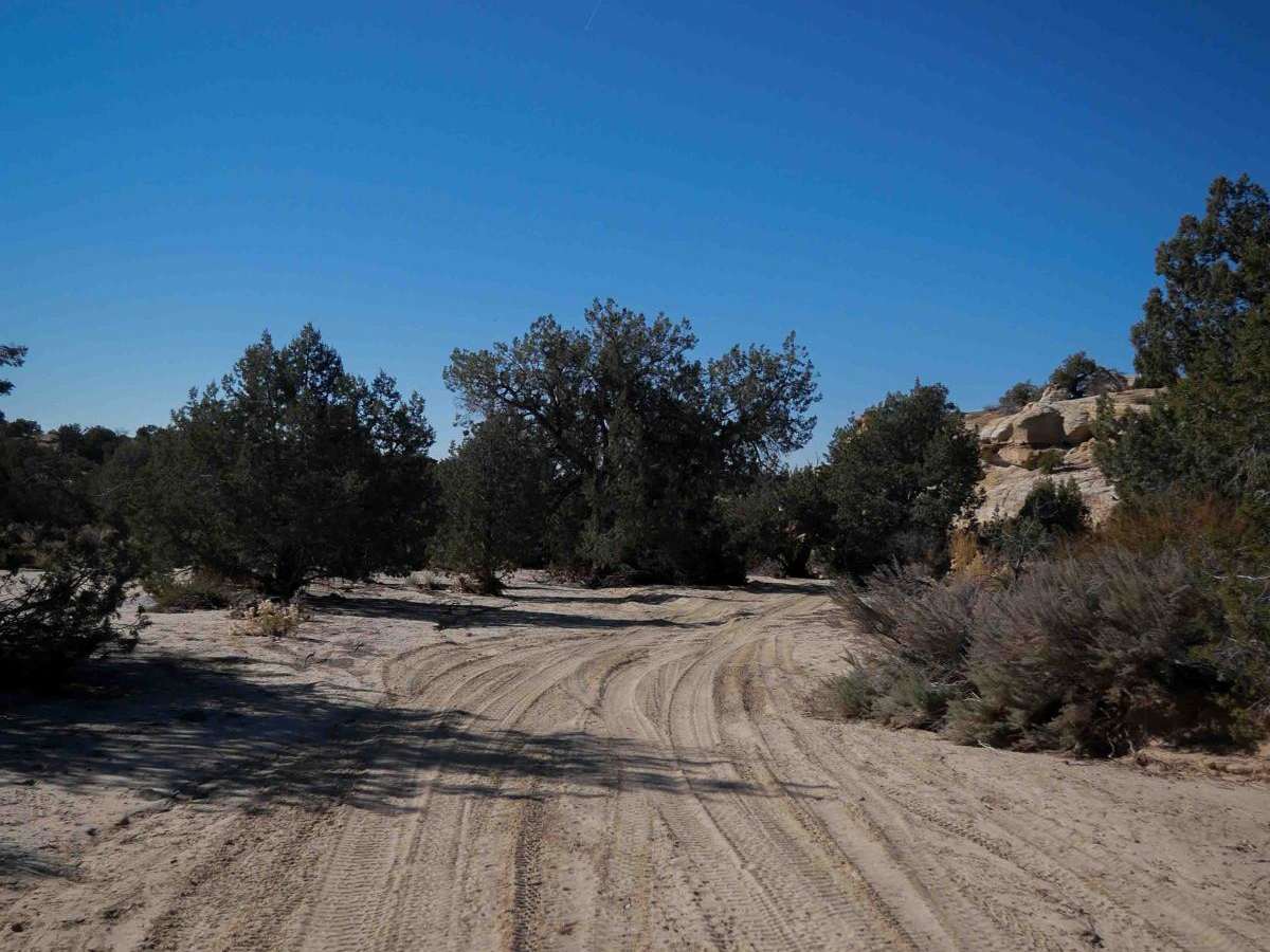 RJs photo 3