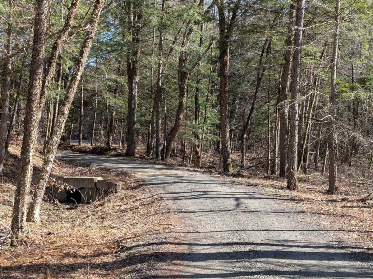 Salt Springs Road photo 6