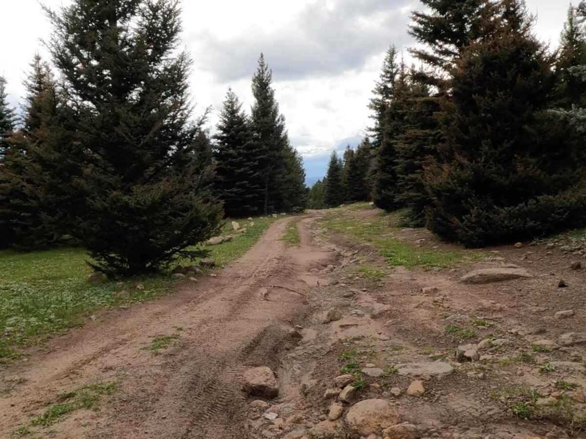 Encino Mountain Trail photo 4