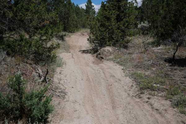 U Trail