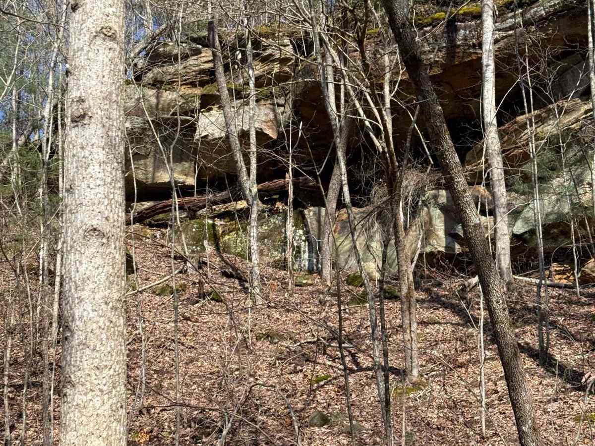 Trail 12 photo 5