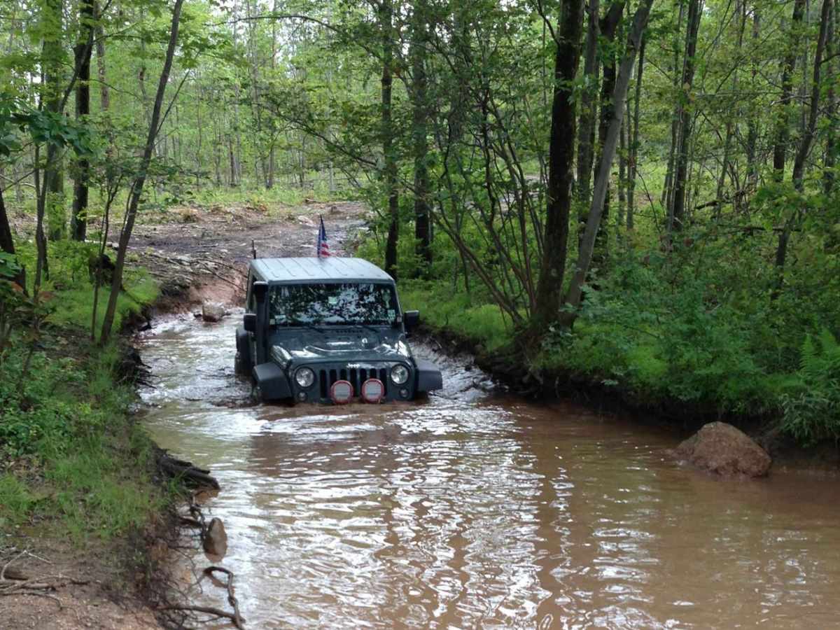 Muddy Area photo 3