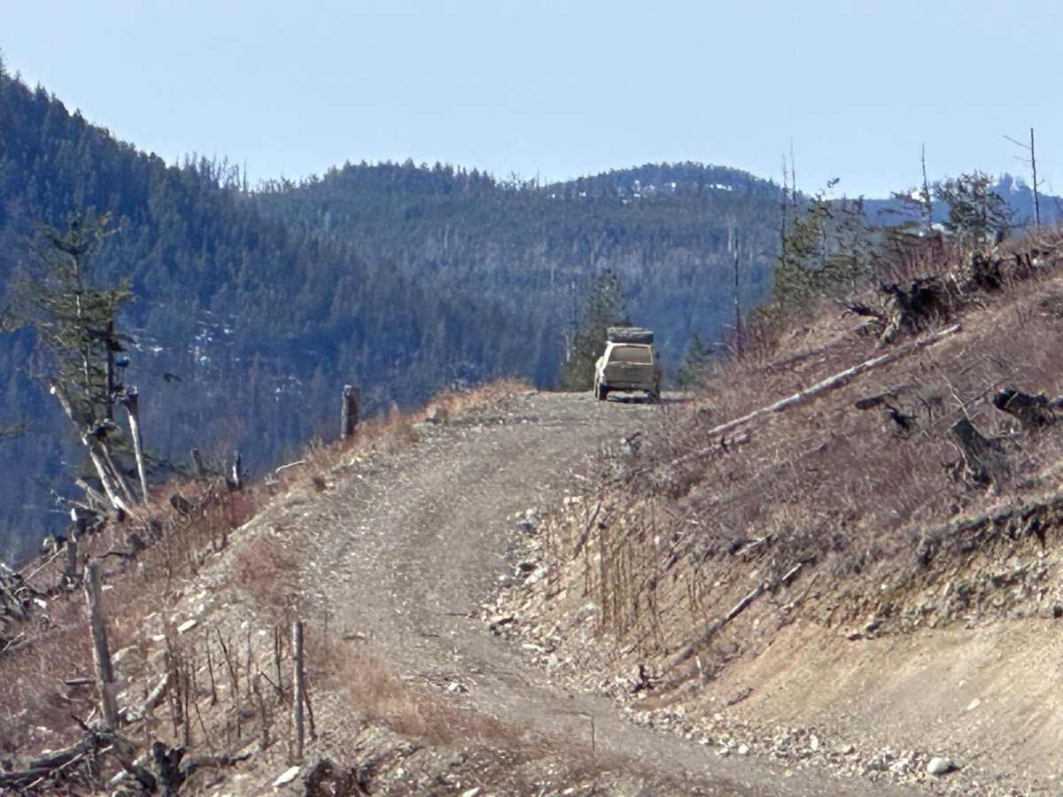 Viewpoint Spur trail photo