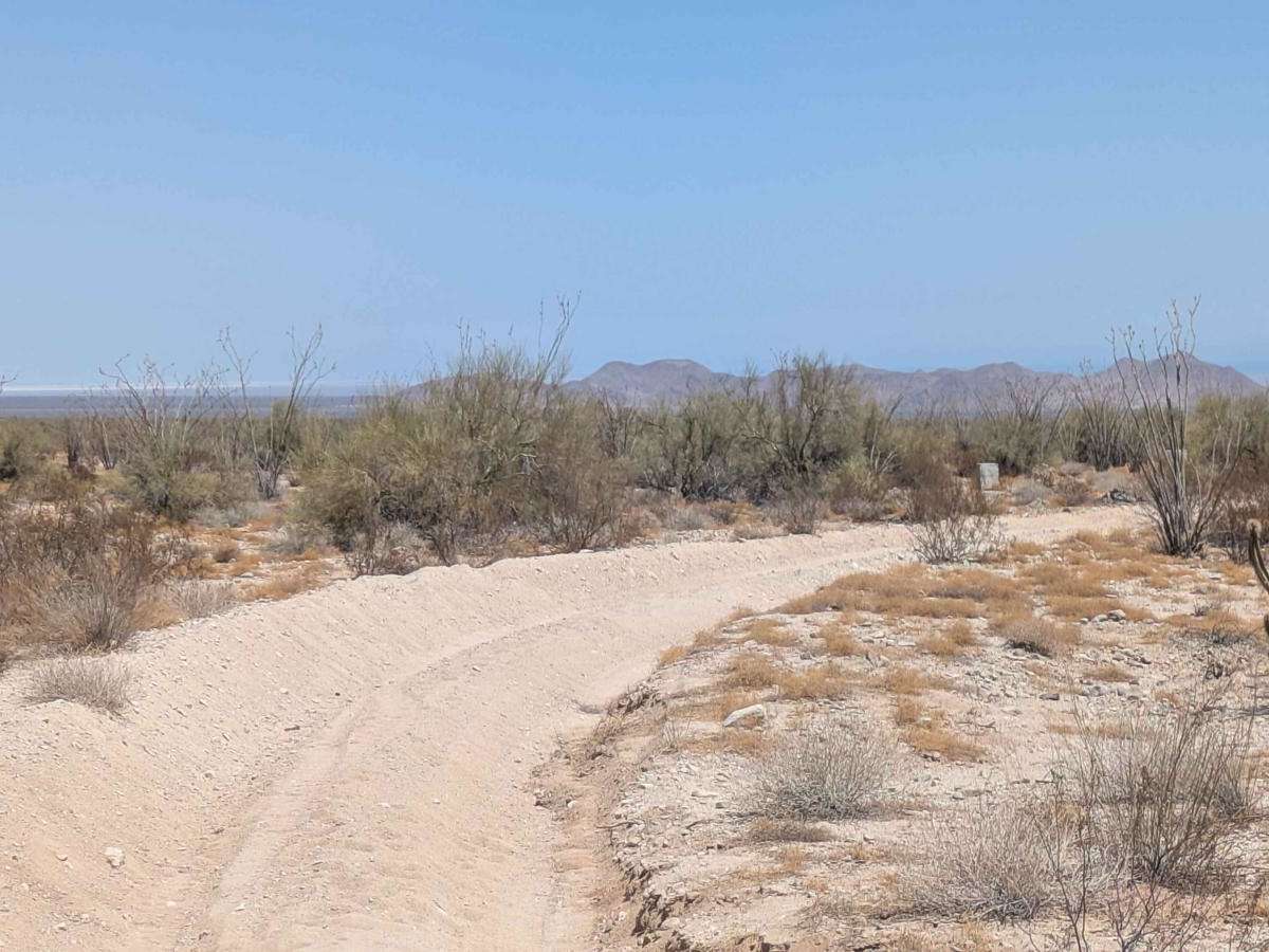 Palo Verde Run photo 3