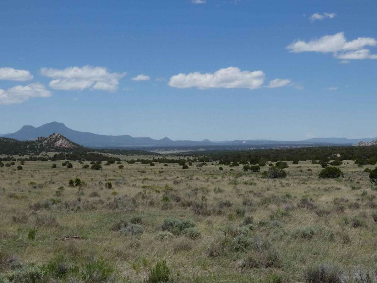 Lone Mountain FS312 photo 3
